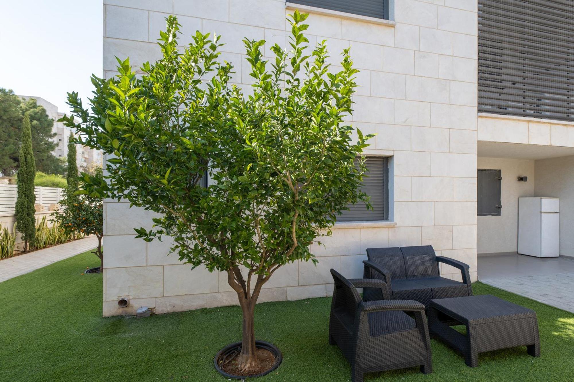 Balfour Sea View City Center Naharija Exterior foto
